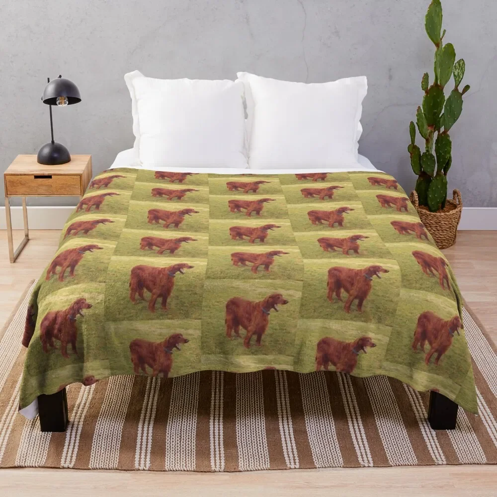 

Irish setter Throw Blanket Luxury Throw Thin Furry decorative Blankets