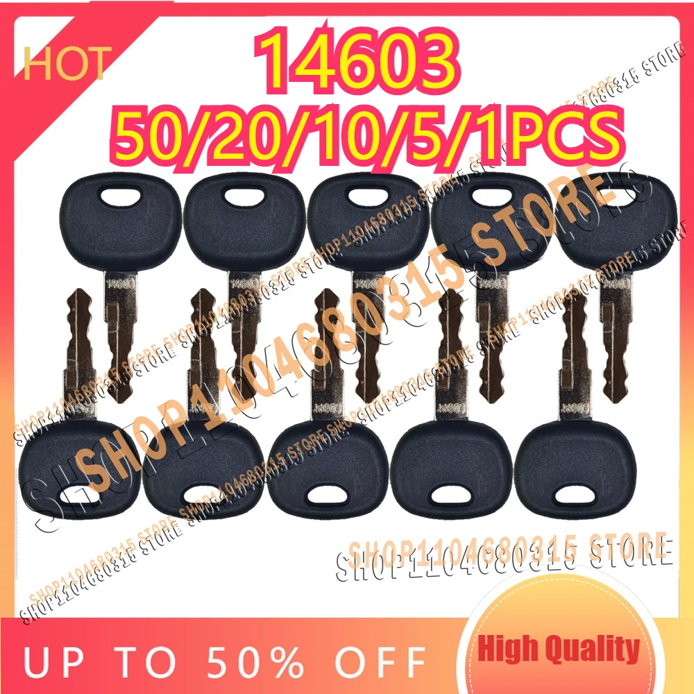 

50/20/10/5/1PCS 14603 Key for WACKER NEUSON High Quality EXCAVATOR Ignition Keys Gehl JLG LINDE CLASS SKYTRAK HAMM