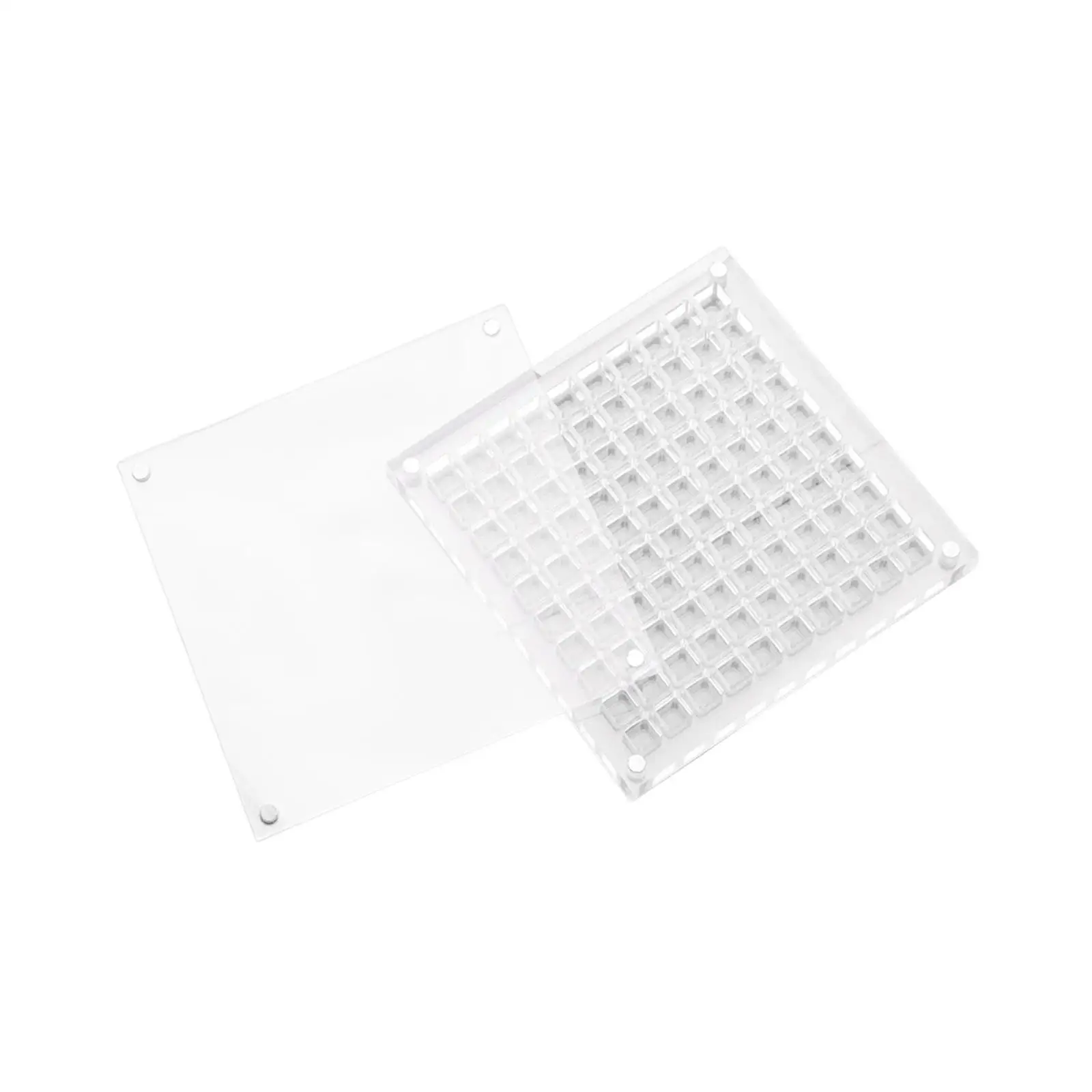 6x Caja organizadora de diamantes de imitación con diseño de concha para suministros de decoración de uñas