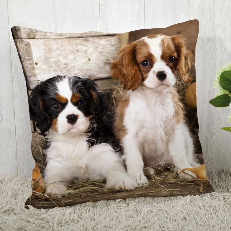 Customize King Charles Spaniel Pillow Case Modern Home Decorative Pillowcase For Living Room 45X45cm A2020.4.29