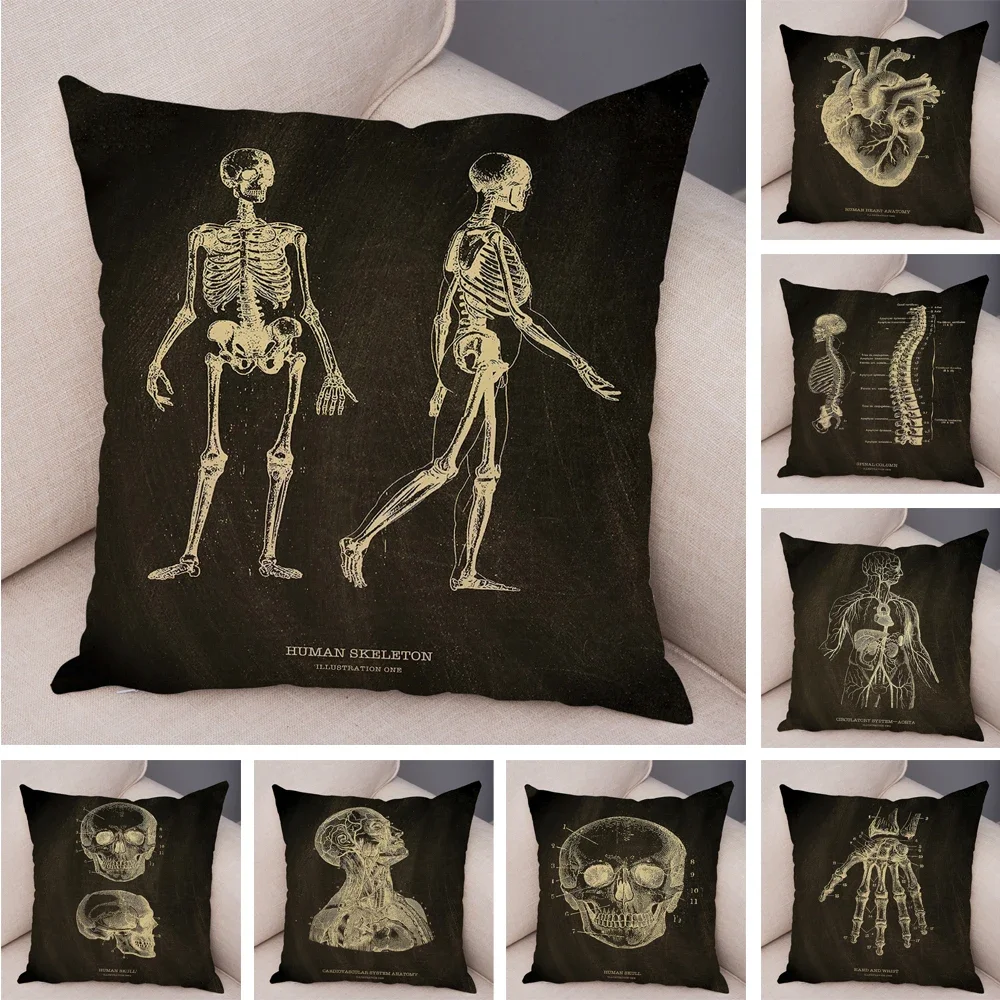 Vintage Anatomical Skeleton Chalkboard Cushion Cover for Sofa Home Car Decor Skull Pillowcase Soft Plush Throw Pillow Case