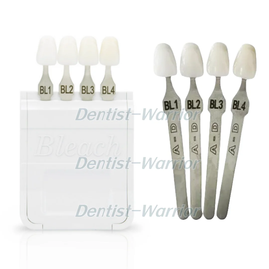 4 Colors Dental Bleached Shade Guide Bleach Chart Teeth Whitening Based Vita A-D BL1/2/3/4