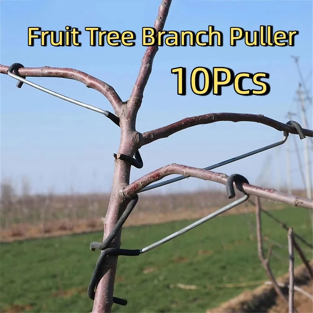 10Pcs Anti-Slip Metal Limb Spreaders High-Strength Strong Branch Bending Clips with Protective Sleeve Plant Support Tool