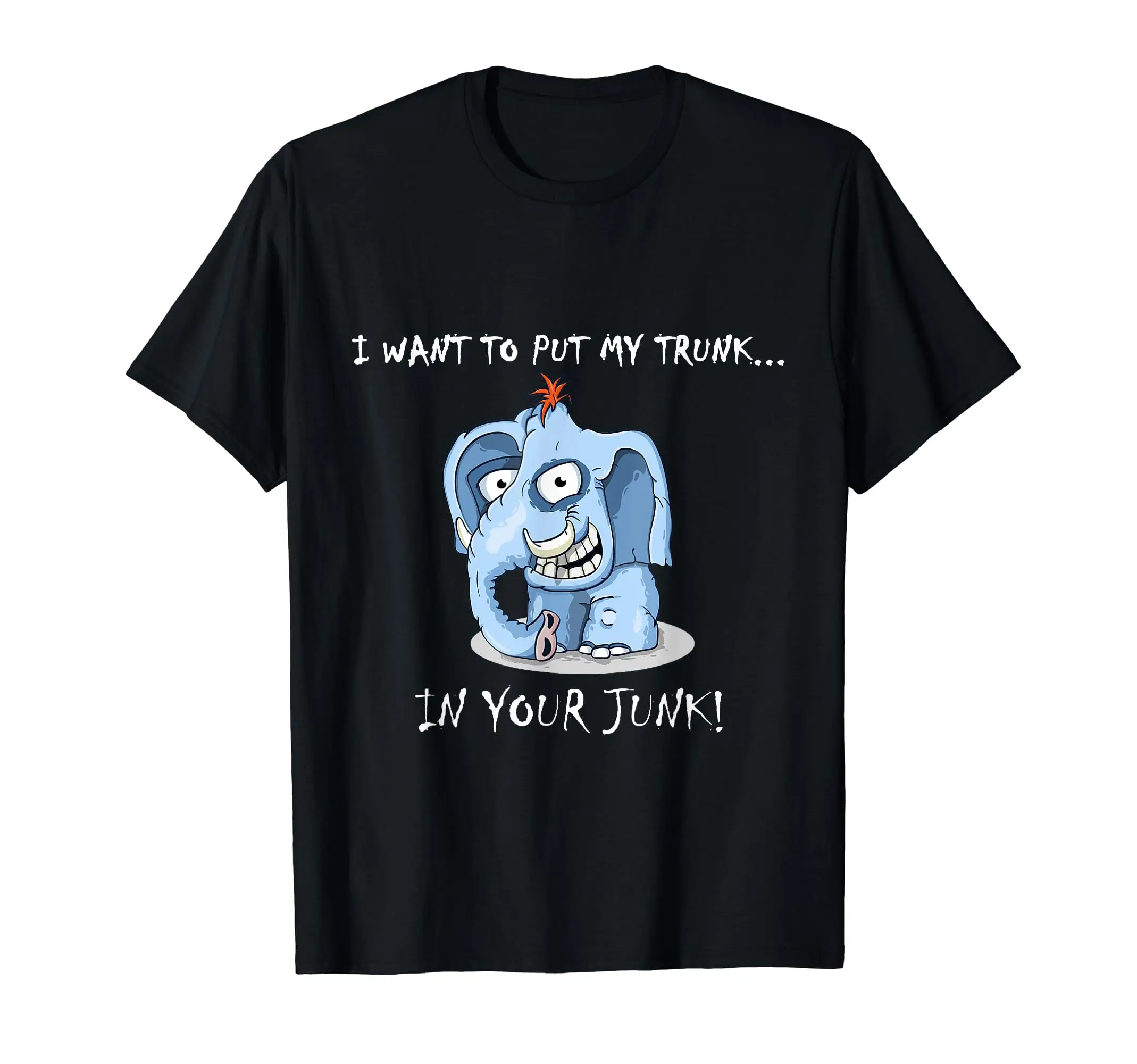 

I Want To Put My In Your Junk Funny Naughty T-Shirt