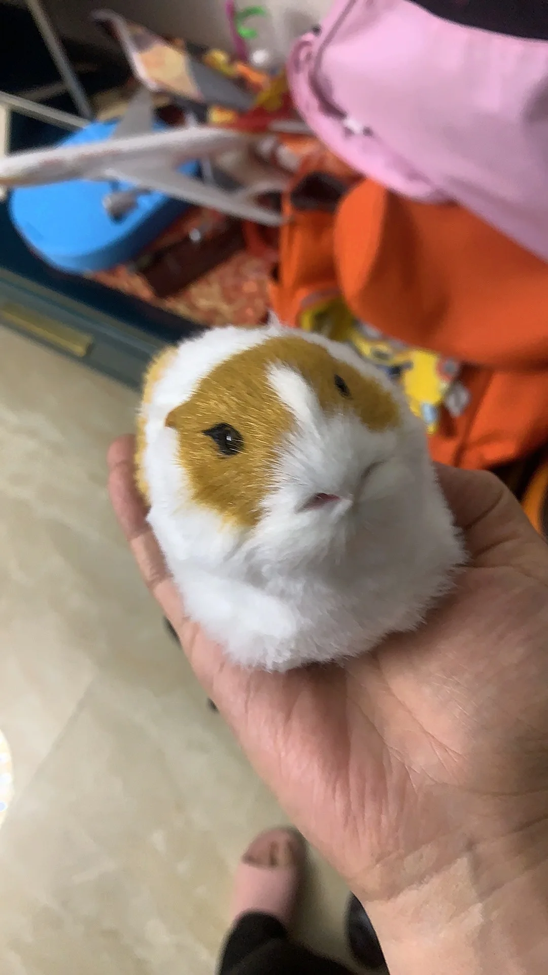 Simulation Animal Plastic Furs Hamster Model Ornament Home Decoration Y664 Pet Themed Room Decor