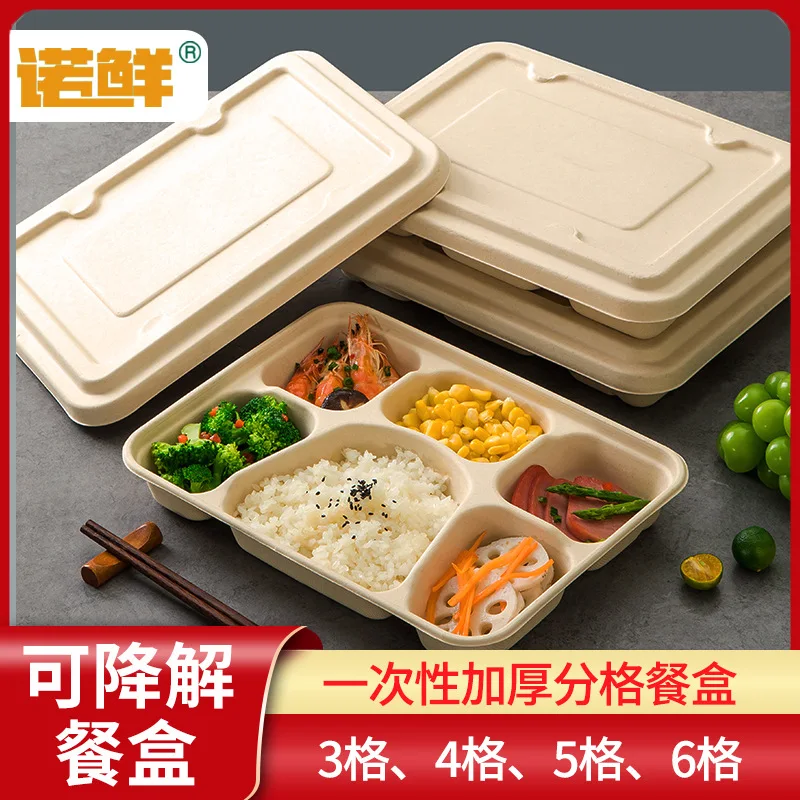 

Custom Disposable Lunch Box Paper Pulp Food Container Biodegradable Commercial Takeaway Multi-compartment Packing B