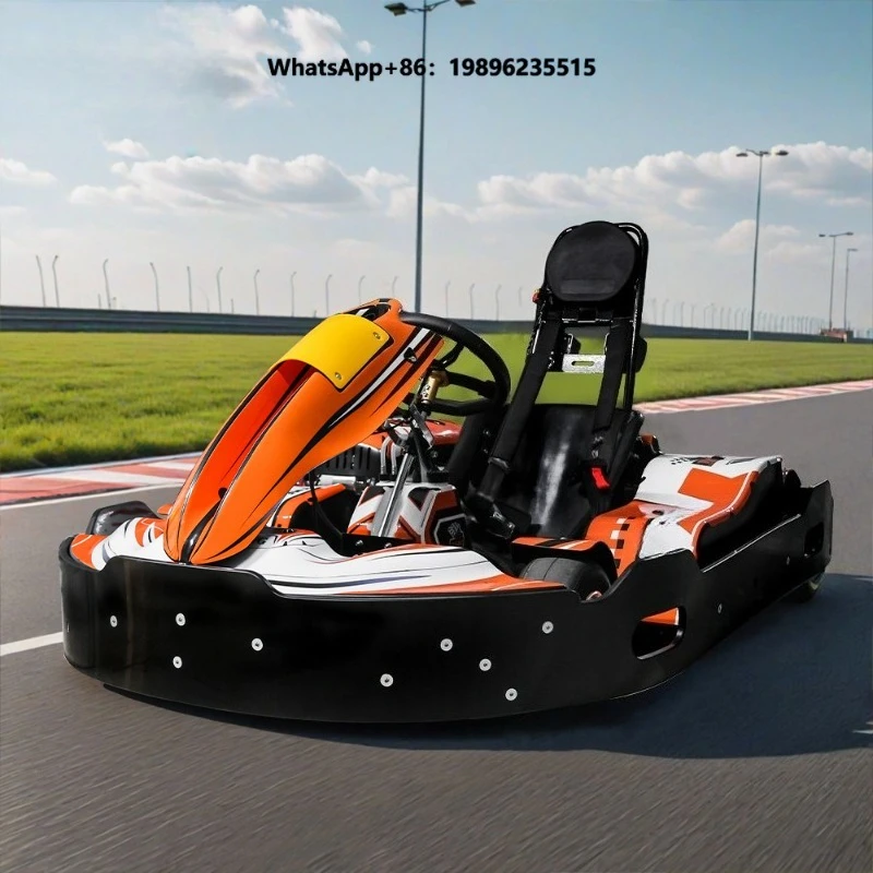 Professional Outdoor 4 Stroke 270cc Adult Go Kart for Amusement Park & Commercial Use with 80km/h Max Speed