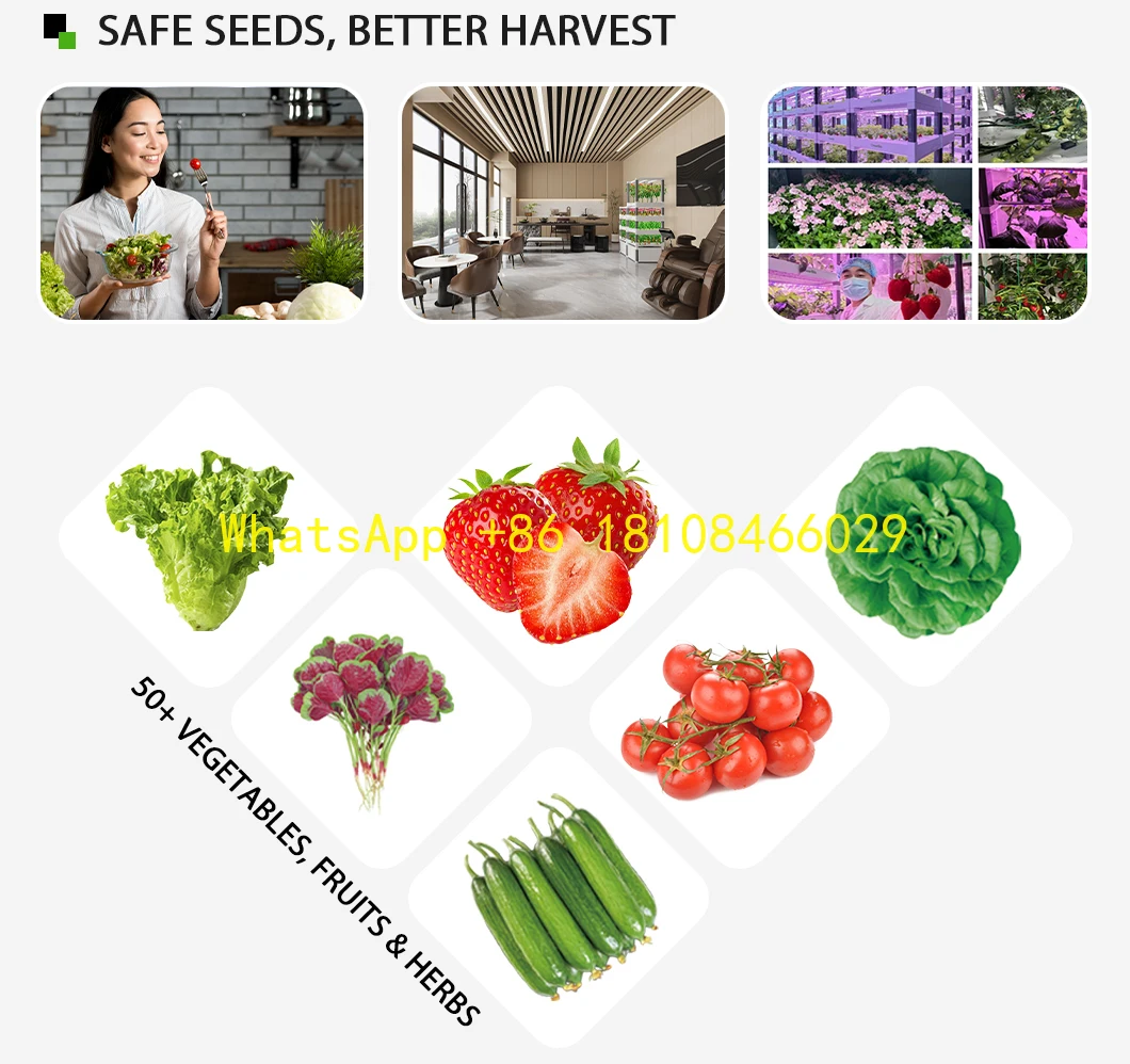 

Kit with Seeds and Nutrients Hydroponics Smart Indoor Farming