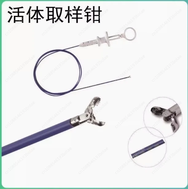 Biopsy forceps Endoscope Nasogastric endoscopy Bladder bronchoscopy Disposable live sampling forceps