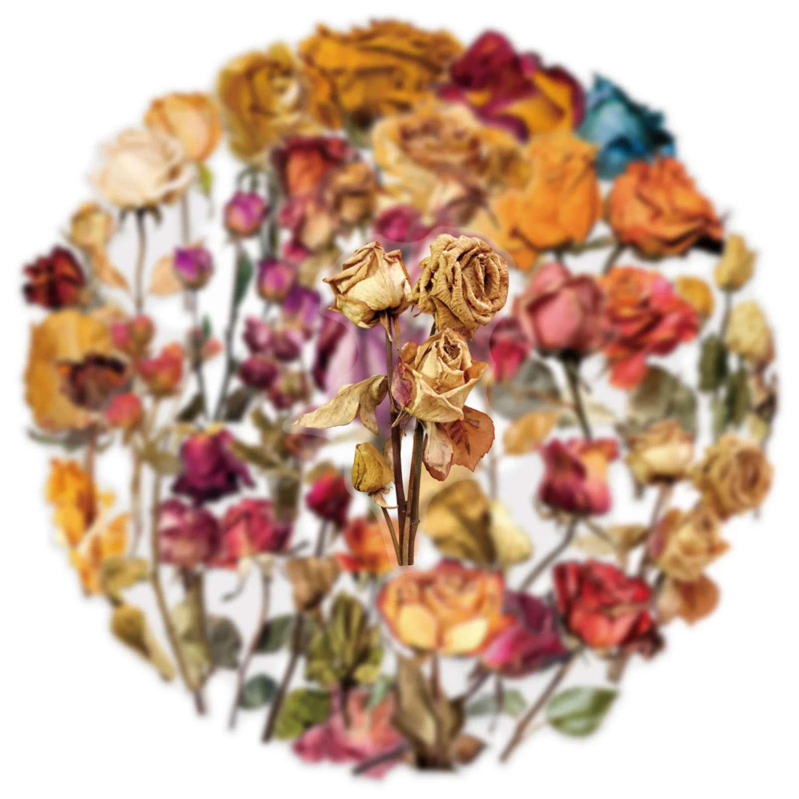 50/100PCS โปร่งใส PET ดอกกุหลาบสติกเกอร์ DIY โน้ตบุ๊ครถจักรยานยนต์เดสก์ท็อปเครื่องเขียนสติกเกอร์ตกแต่ง