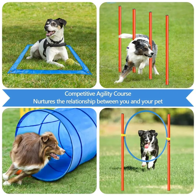ZA001 Outdoor Pet Training Equipment Custom Weight Dog Agility Training Including Backyard Tunnel Jump