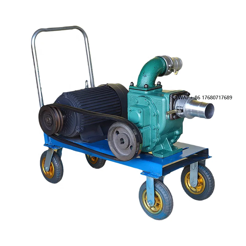 Submersible Mud Water Pump for Septic Tank Sewage Fish Pond Pig Manure Suction Pump-Premium Vacuum Pump