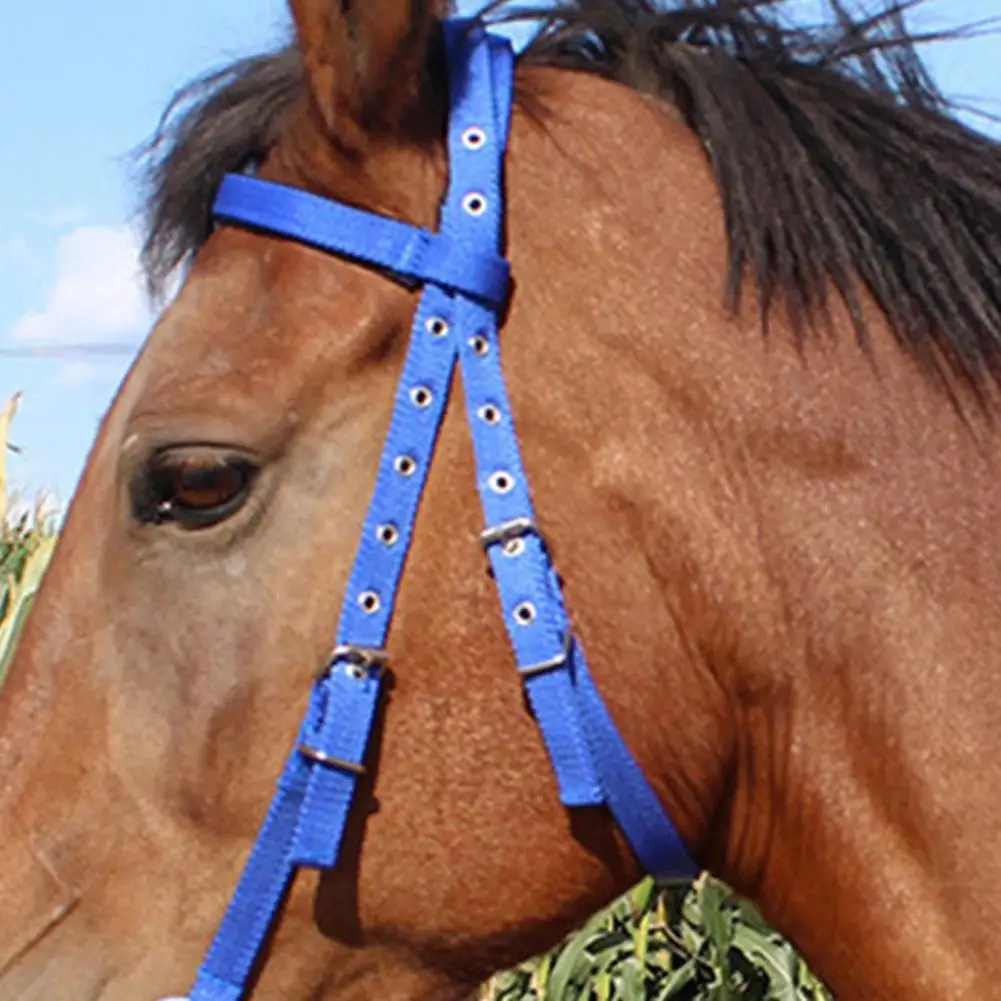 

Horse Halter Adjustable Chin Horse Halter Plush Padded Horse Training Equipment Hanging Neck Throat Snap Equestrian Accessories