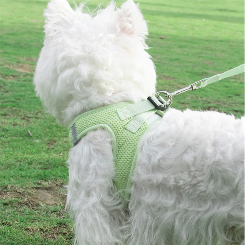 Waffle fabric Pincher Dog Walking Harness and Leash Set Mesh Breathable Pet Harnesses Vest for Small Dogs Pomeranian Accessories