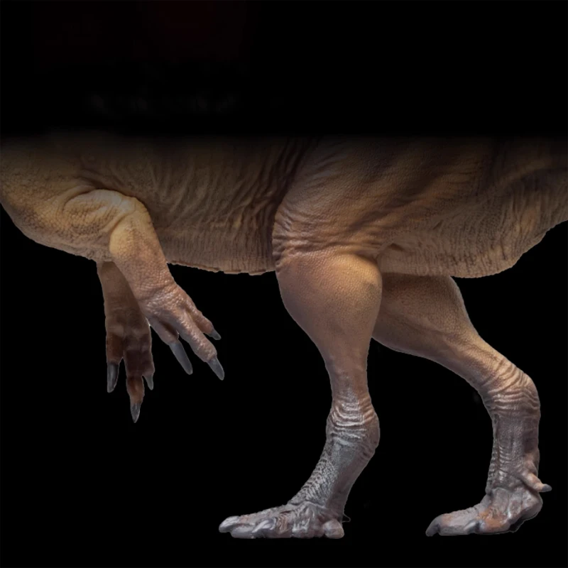 Dinosauro Re Crescita Compagno Modello 76 Gigante Yongchuan Drago Dapeng Giocattolo fatto a mano Mondo preistorico Natura e scienza