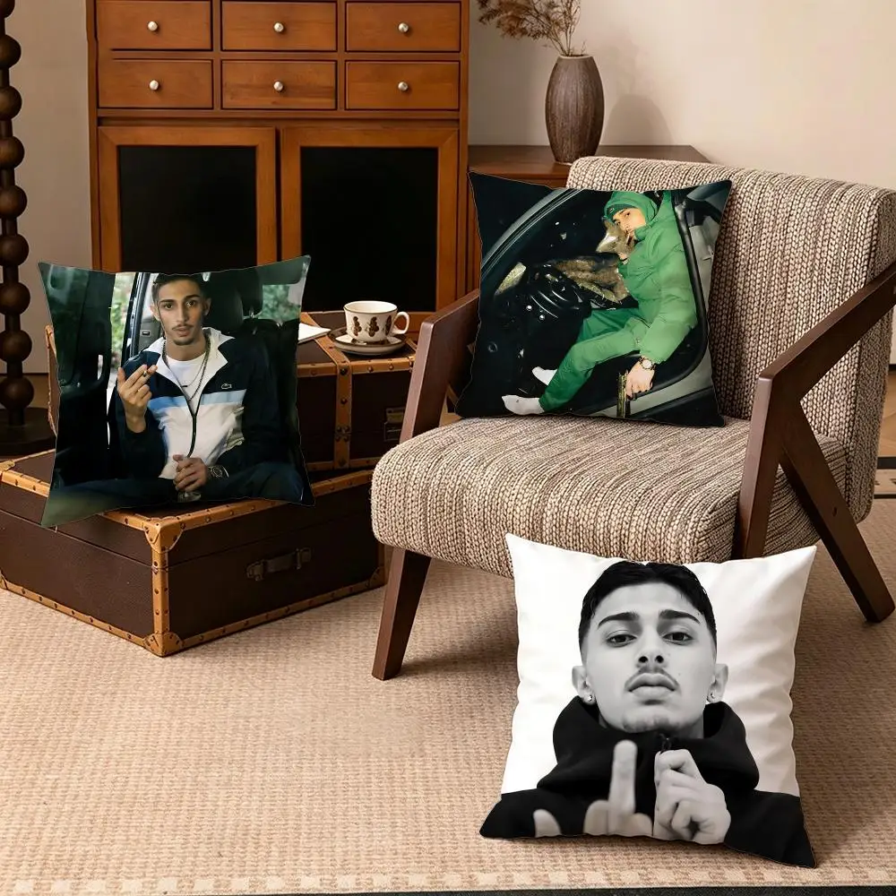 Celebrity-Baby GangS Cushion Cover Soft Velvet Cushion Cover Set 4Pcs 50x50 45x45 Zipper Pillowcase for Home Decor