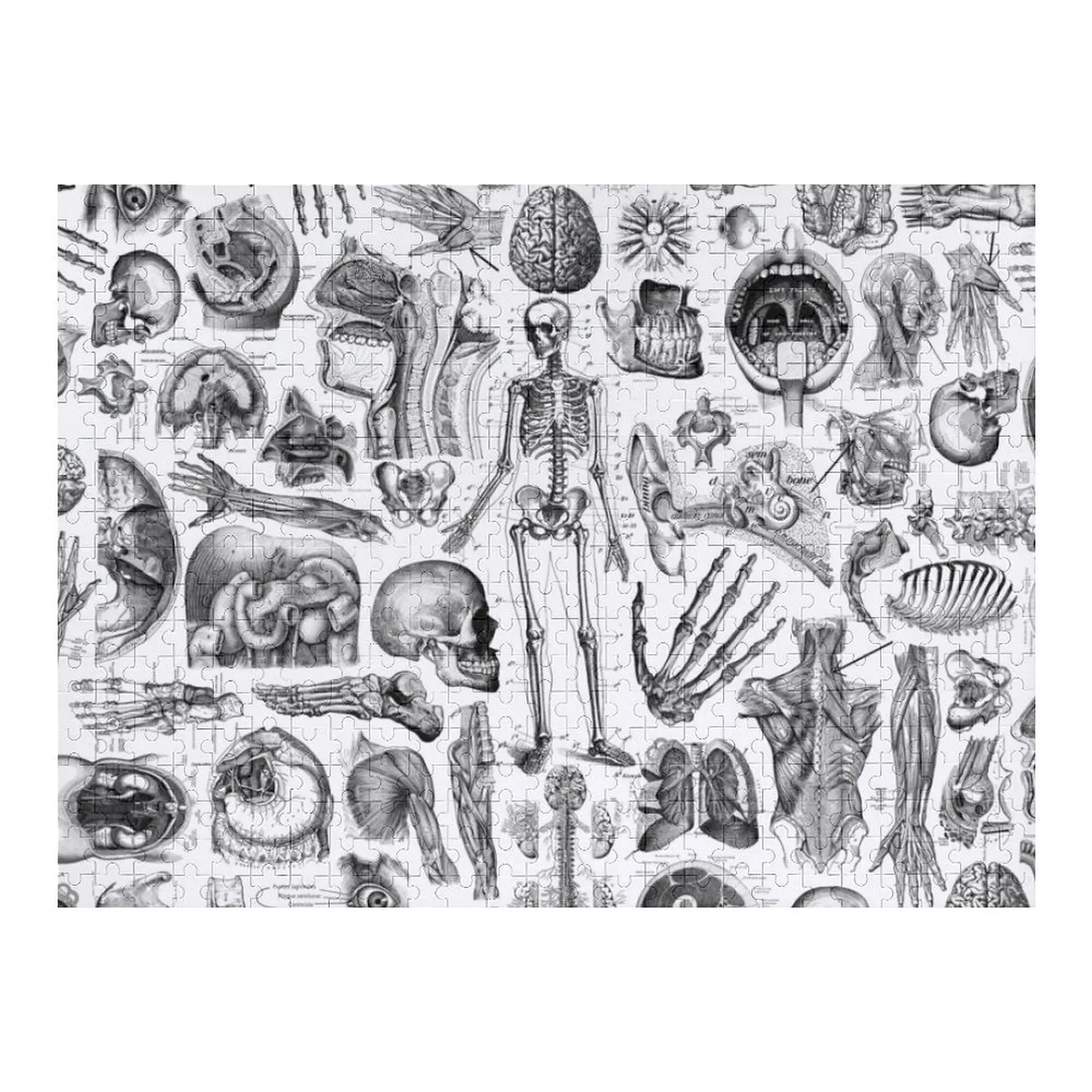 

Анатомия человека Пазл с белым принтом Персонализированный деревянный подарочный пазл на заказ