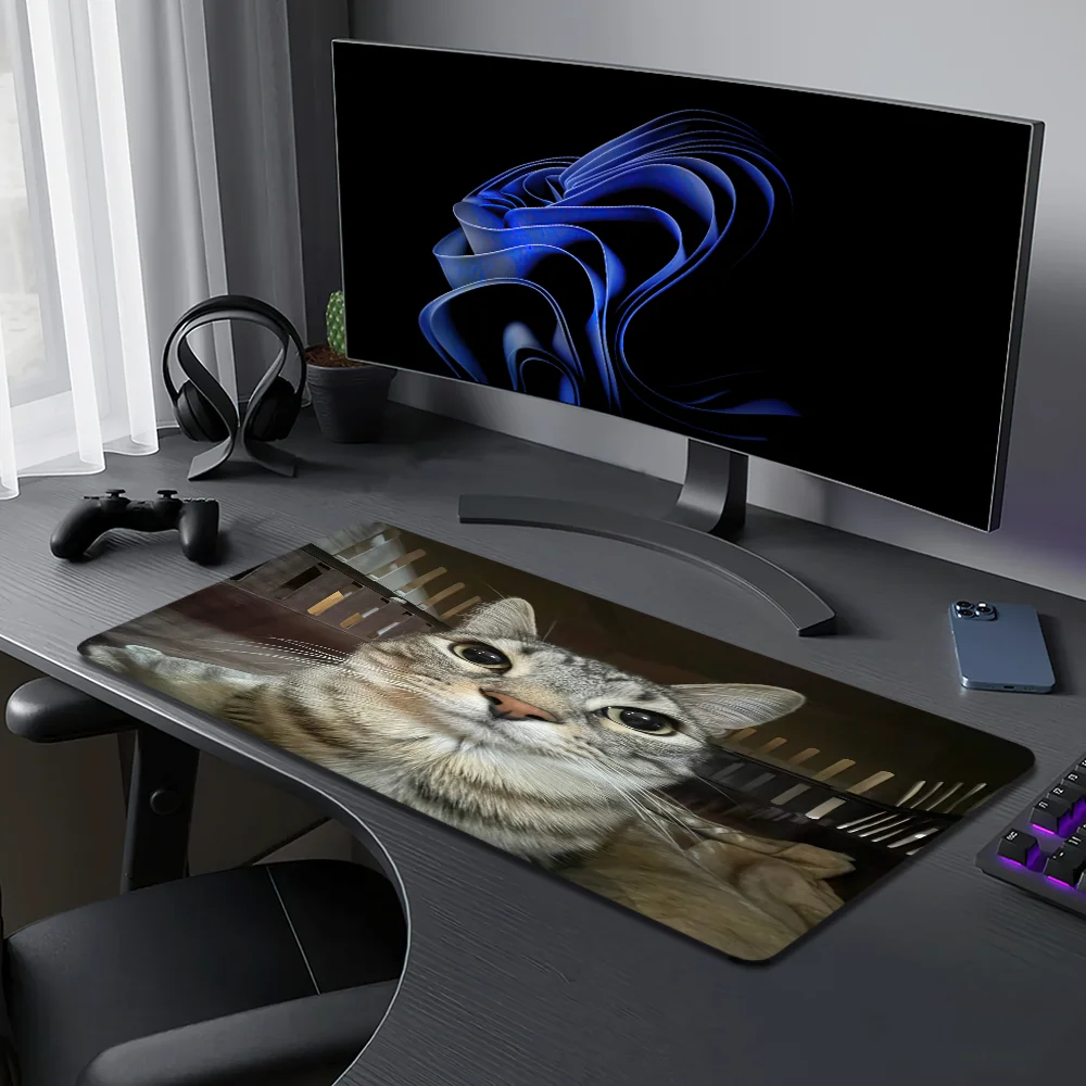 Thumbnail 4 - #30 New Mouse Wrist Rests Arrivals