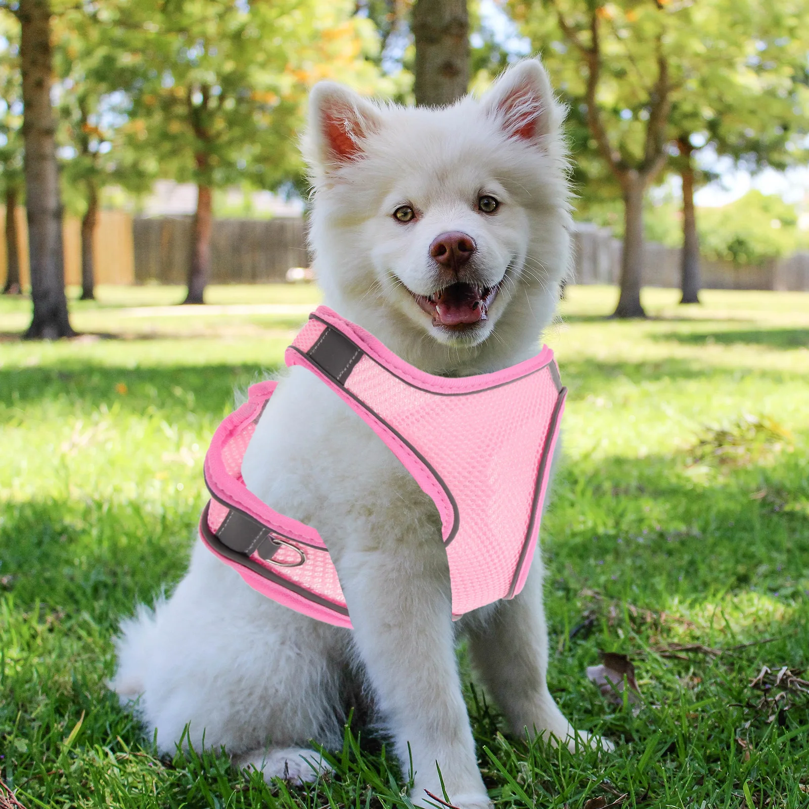 

2 Pieces Pink L Reflective Dog Harness Leash Breathable Pet Harness for Large Dogs Walking Outdoor Training Pet Supplies