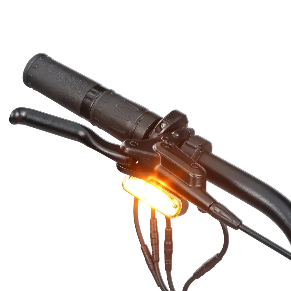 Electric Scooters Parts Rs/Rs Lite Signal Blinkers For INMOTION Rs/Rs Lite ,EU standard