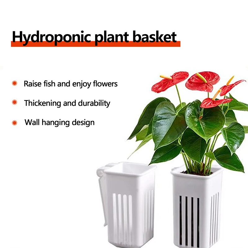 1/2Pcs Aquatic Plant Cup Hollowed Out Wall-mounted Reduce Nitrate Emersed Plant Hydroponic Planting Cup Fish Tank Accessories