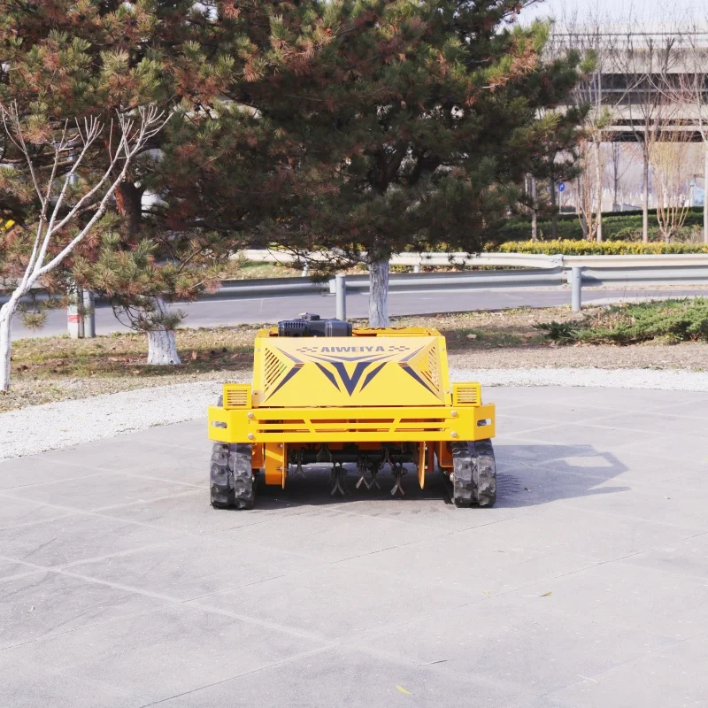 تخصيص عالية الحصان الصناعية جزازة flail CE EPA معتمدة آلة التحكم عن بعد اختياري منفاخ الثلج المصنع مباشرة #6