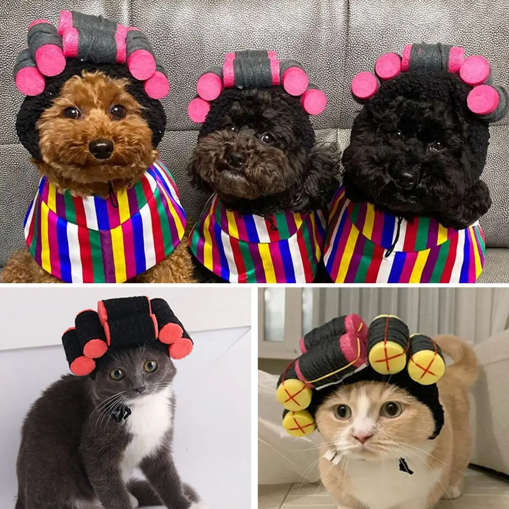 Funny Curly Pet Hat, Suitable For Cats And Dogs, Adjustable Perfect For Halloween And Christmas K8s6