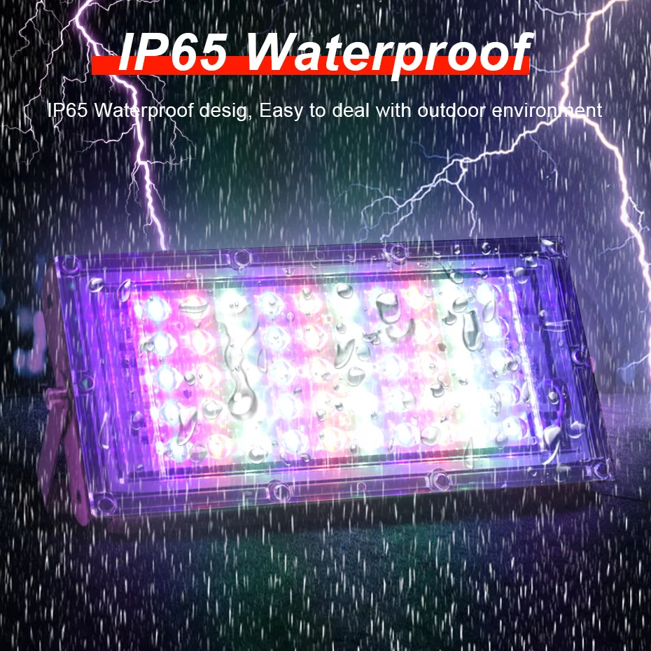 Outdoor LED Floodlight EU Plug 50W 100W 220V IP65 Waterproof LED Spotlight Cold/Warm White or RGB Floodlight with Remote Control
