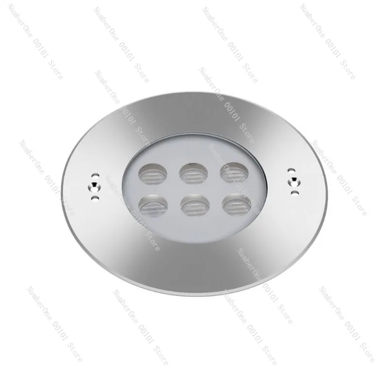 316 Stainless Steel IP68 Underwater Pool Light Embedded Installation Landscape Spotlight