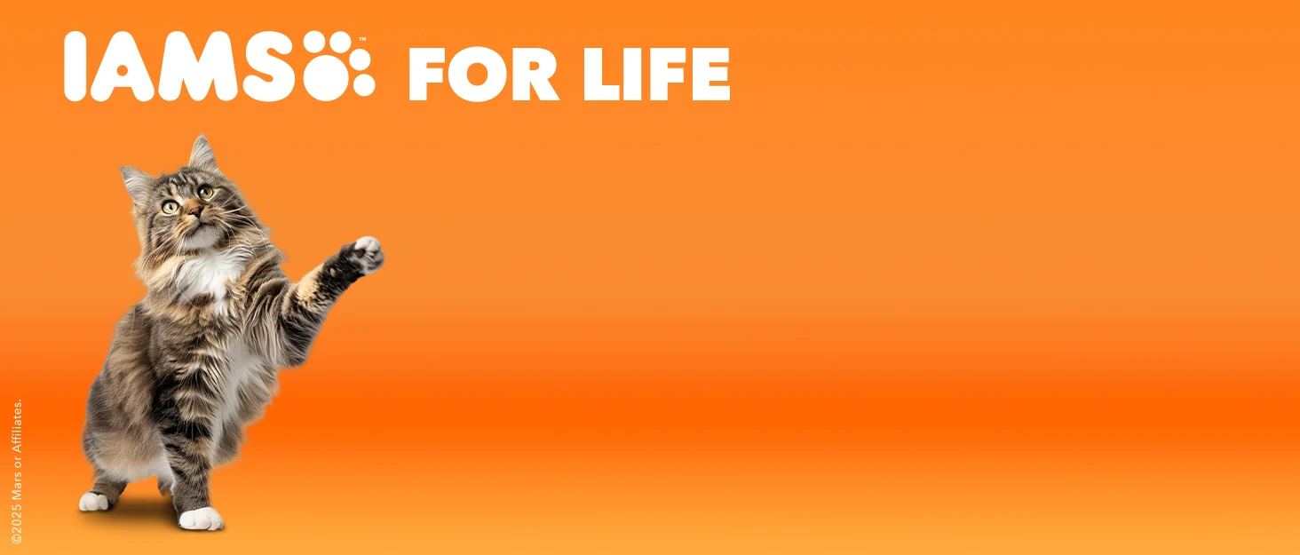 iams brand story