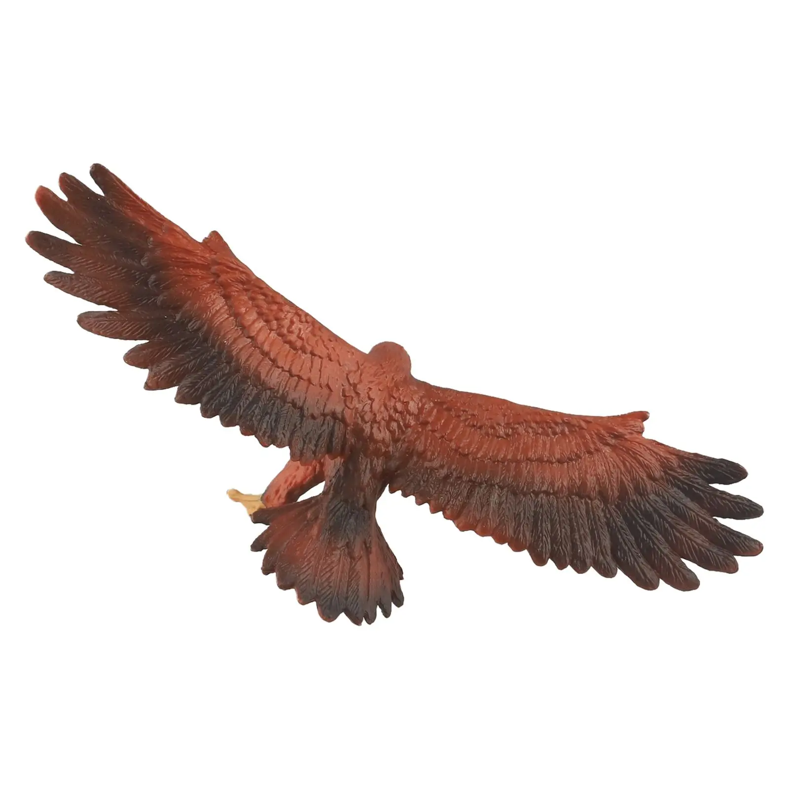 Home Decor Office Decor Artificial for eagle Model for educational for eagle Model Long-lasting Realistic Shape Tear-resistant