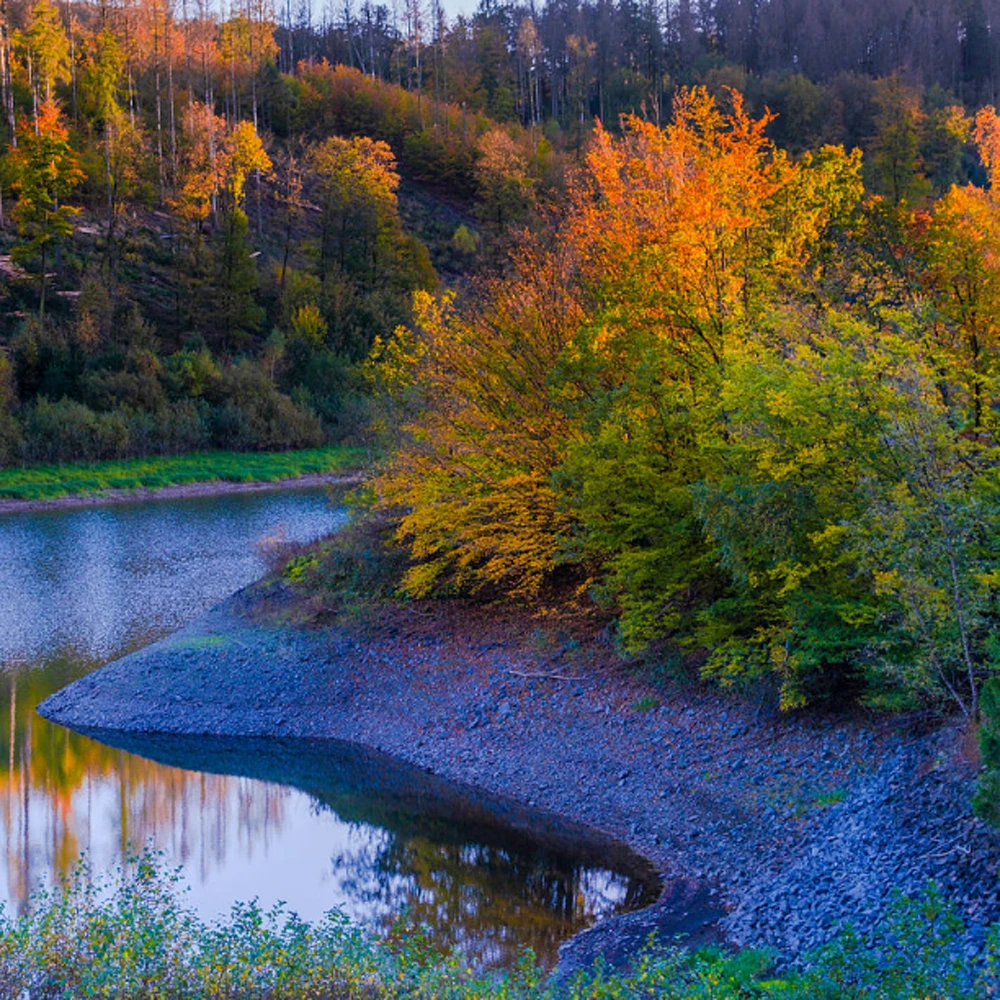 

For Mimaki SB53 JV300 Auo Reset Chips for mimaki JV300 JV150 CJV300 CJV150 JV300 printer Ink Chip SB53 permanent chips