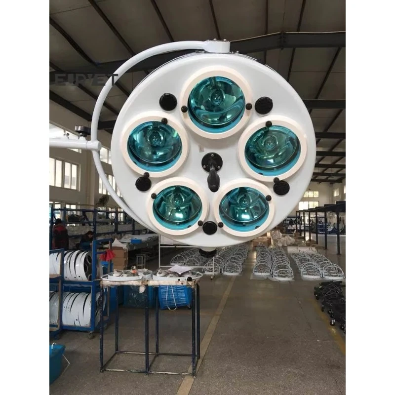 2026 Veterinary Instrument Wall-mounted LED Surgical Medical Exam Light LED Light Ceiling Mounted for Animal Care and Supplies