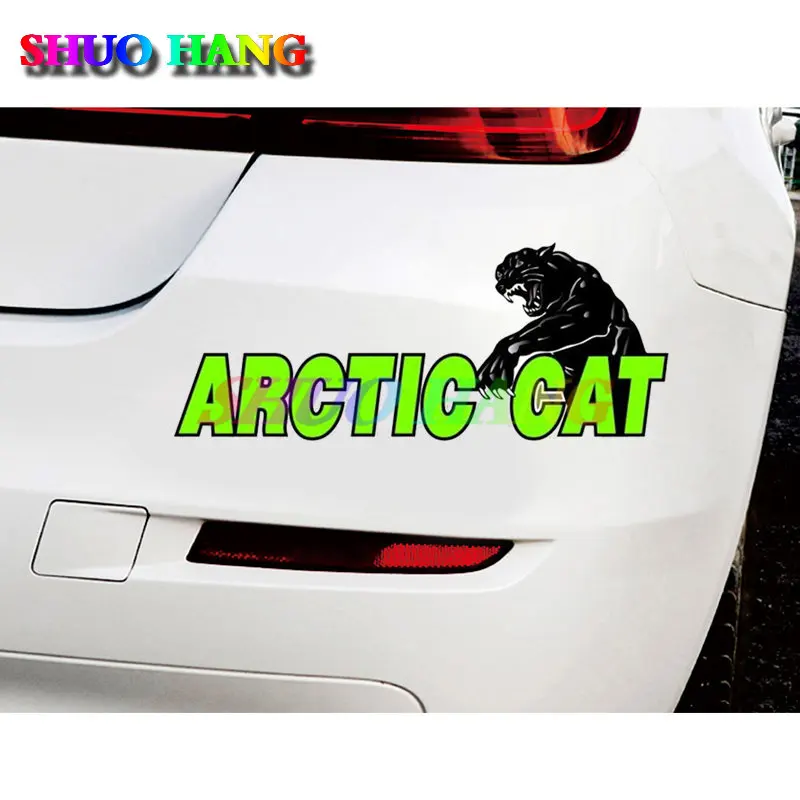 Arctic Cat Bad Kitty SWIPING Vinyl Pattern Stickers Snow Trailer Ski Cowboy Decal Motorcycle Racing Laptop Camping Surfboard