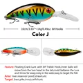 color J