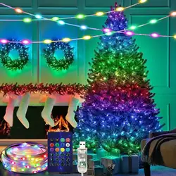 40M RGBIC LED String Bluetooth USB Music Dream Color Light WS2812B 5V Christmas Birthday Party Garland Decor Fairy Lights Home