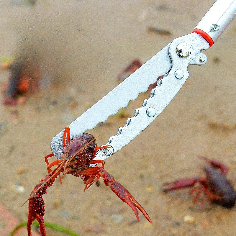 Allungato addensare Snake Catcher pinze a serpente retrattili grande apertura Clip per anguilla morsetto per crochet Stick Catcher per rettili Grabber