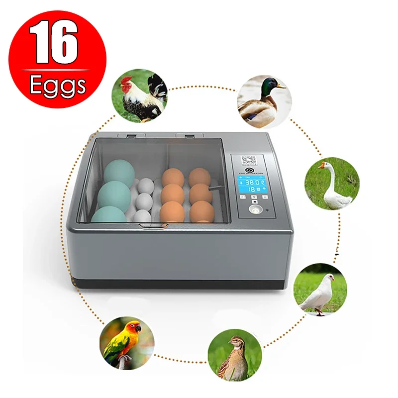 

16 Eggs Incubator LCD Display Intelligent Automatic Turning Hatching Brooder with Temperature Control Duck Birds Egg Hatcher