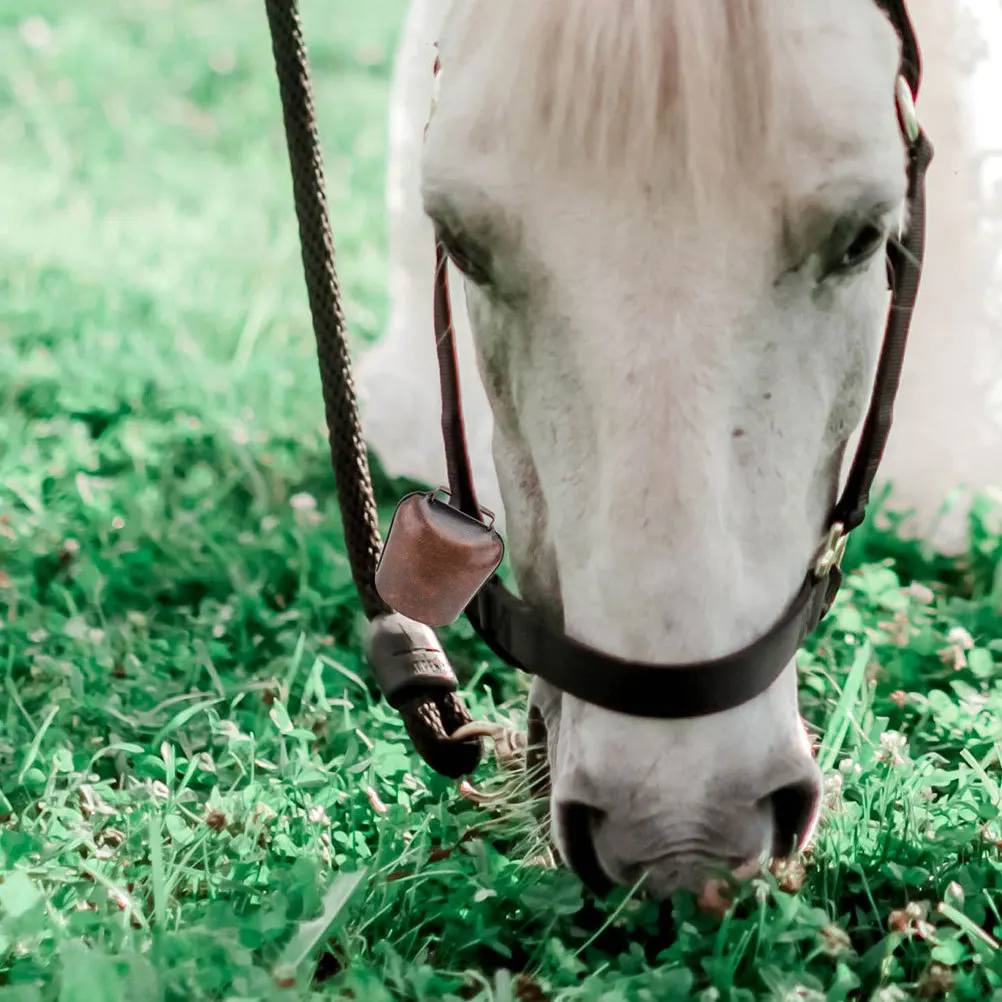 

Thickened Cow Sheep Durable Metal Animal Bell For Livestock Outdoor Rustic Iron Bell Vintage Style Bells For Dog Collar