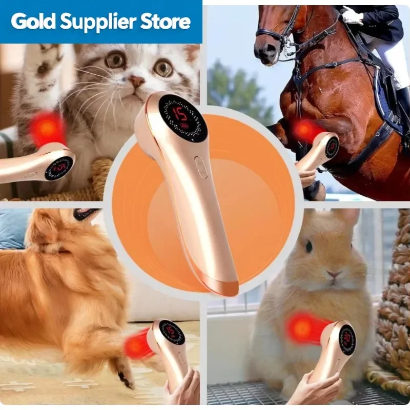 Handheld eterinary Light Therapy Dei - For Muscle & Joint Relief in Horses, Dogs, Cats