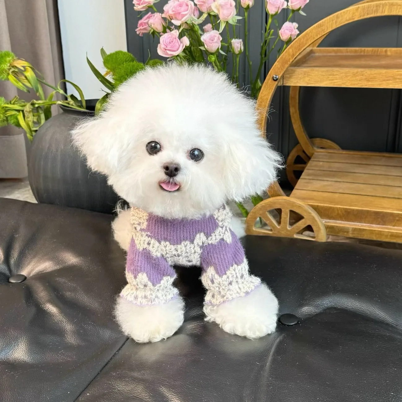 Puppy Knit Bottoming shirt, Warm Winter Clothes for Teddy & Bichon Frisé, Sweet Vest & Two-Legged T-Shirt for Maltese