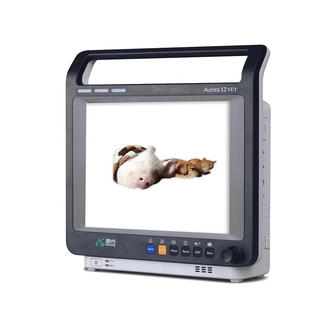 

12.1 Inch Blood Pressure Patient Monitor Price Ecg SPO2 Vet Monitor with ETCO2 Option