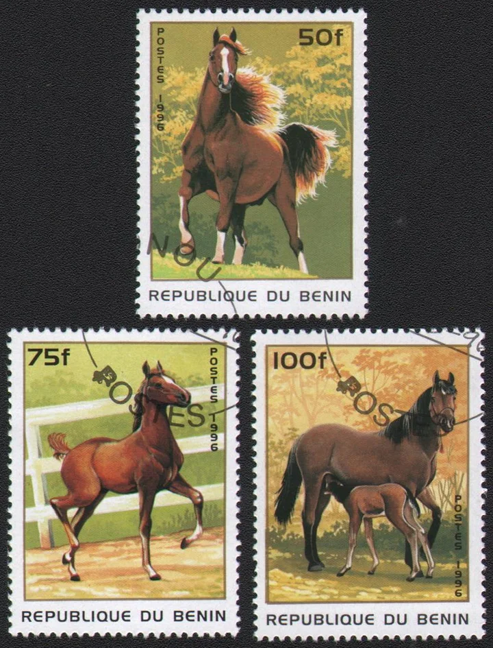 3Pcs/Set Benin Post Stamps 1996 Horse  Marked Postage Stamps for Collecting