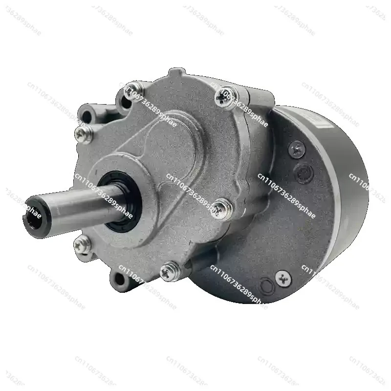 

Матовый постоянный ток, низкоскоростной двухступенчатый электромобиль с замедлением, 24 В, 250 Вт, двигатель для инвалидной коляски, 120/75 об/мин