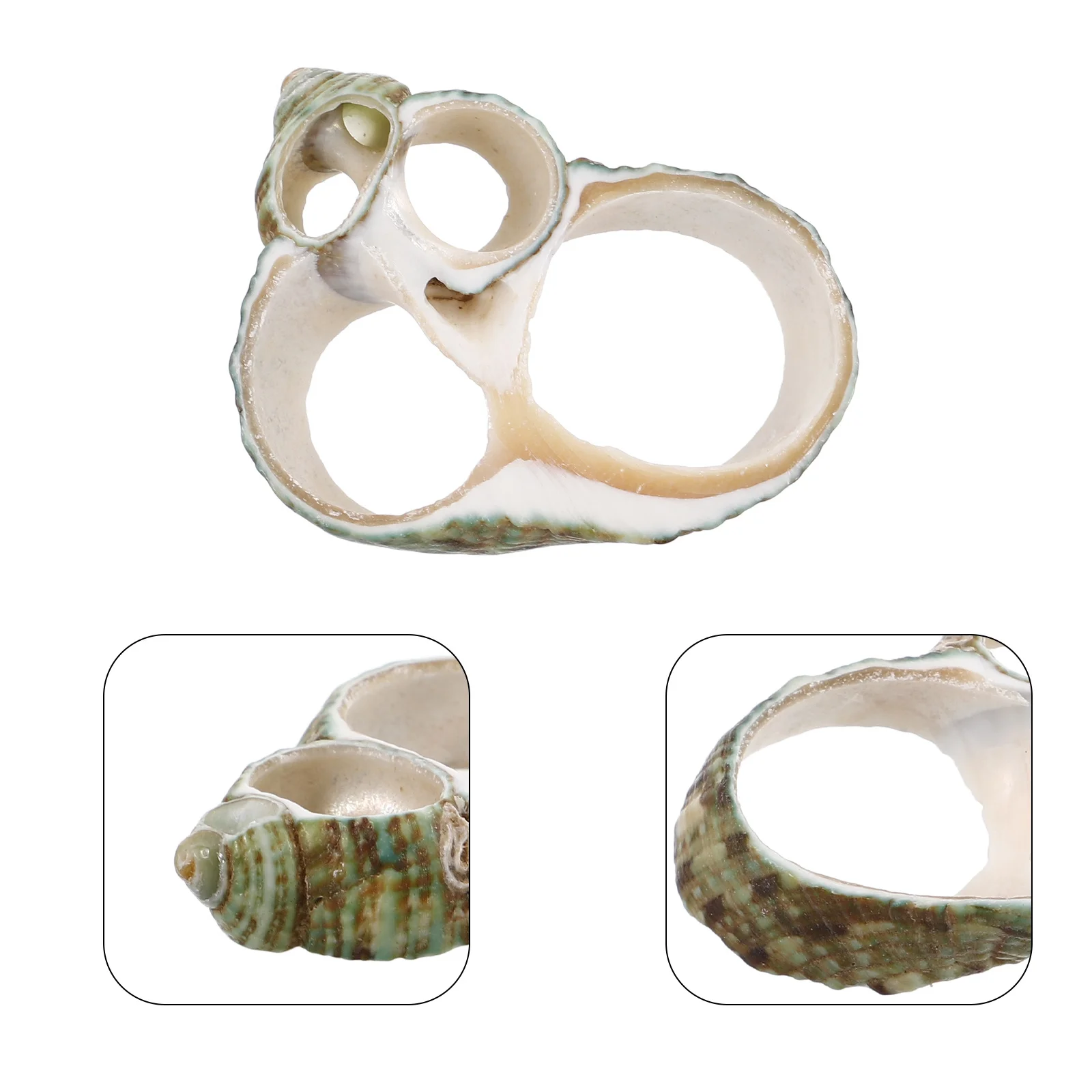 

20Pcs Natural Conch Shell Slices Large for DIY Jewelry Craft Clothing Accessories Home Beach Nautical Decor Wedding Ornaments