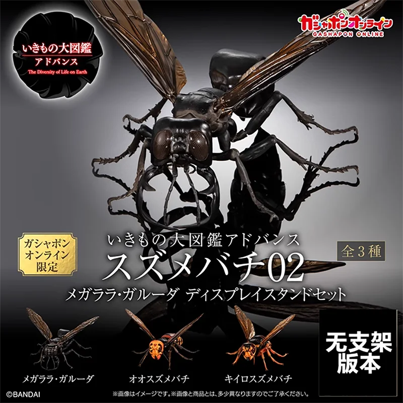 OriginalBiological Big Picture Mirror Wasp 02 Fantasy Bee Queen Bee Action Figure Model Toys Gift