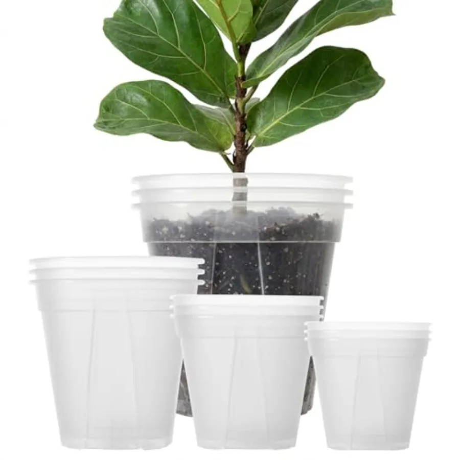 

Nursery use: clear thick plastic pots, 12 pcs assorted 12/10/8/7 inch, with drainage holes, reusable, for orchid, monstera, aro