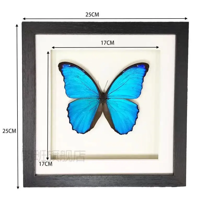 

Exquisite Blue Butterfly Specimen Wooden Photo Frame Wall Decoration Luxury Gift Home Decoration Accessories Collect Butterflies