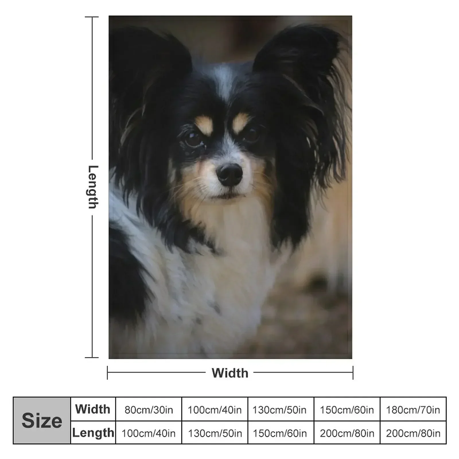 Papillon dog Throw Blanket Camping Flannels sofa bed blankets and throws Luxury Beach Blankets