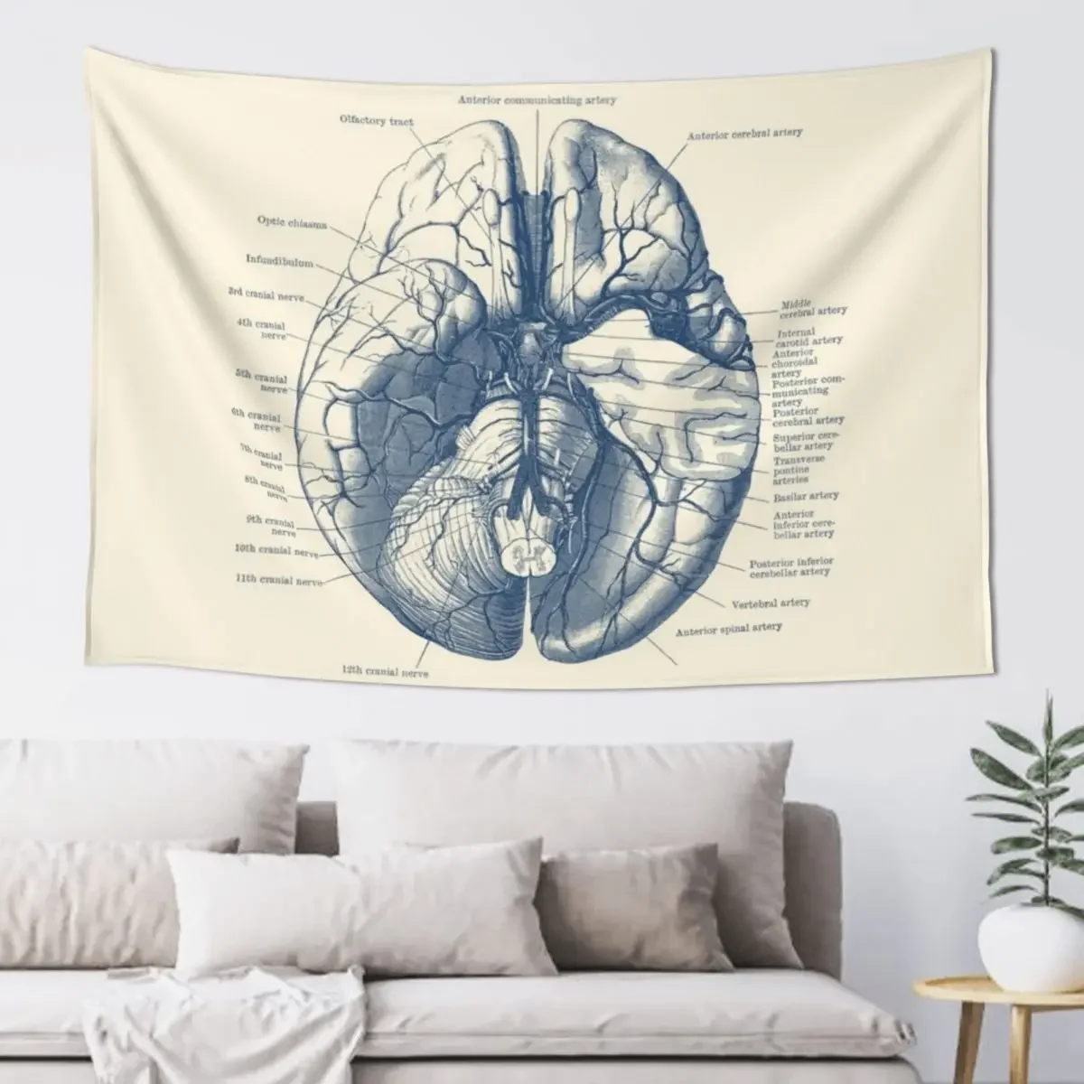 Human Brain Diagram Tapestry Kawaii Room Decor Cute Room Things Room Decorations Tapestry